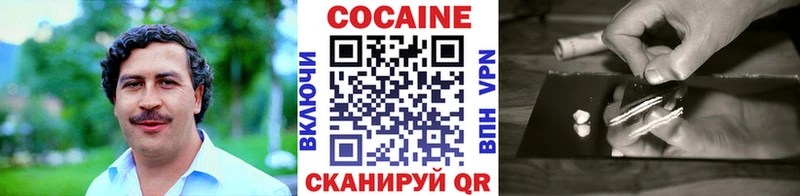 КОКАИН FishScale  наркота  Судогда 