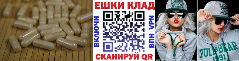 Ecstasy Cube  купить наркоту  кракен как войти  Судогда 