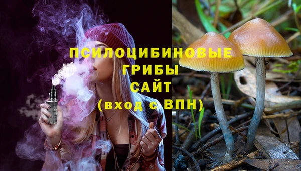 дмт Абаза