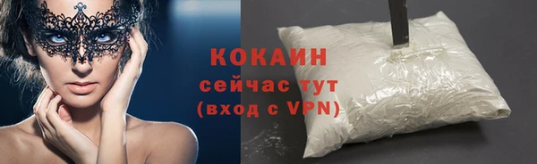 дмт Абаза