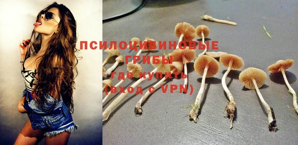 дмт Абаза