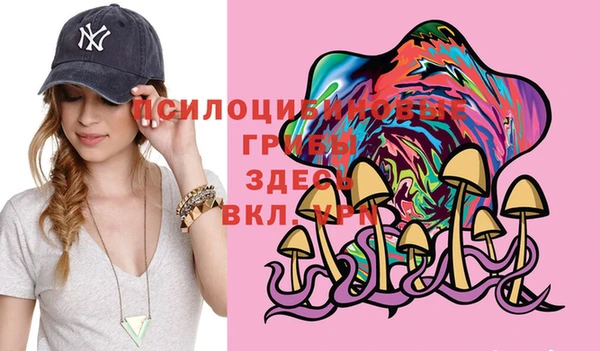 дмт Абаза