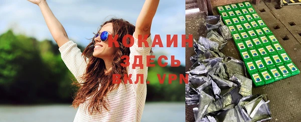 дмт Абаза