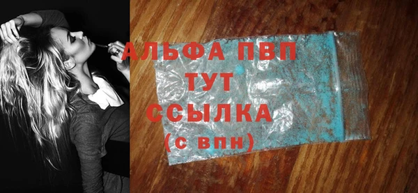 дмт Абаза
