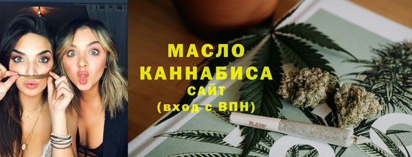 дмт Абаза