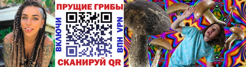 Галлюциногенные грибы ЛСД  Судогда 