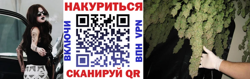 это состав  Судогда  Бошки марихуана марихуана  наркошоп 